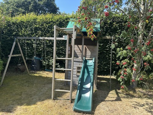 Fat moose play house climbing - fat,